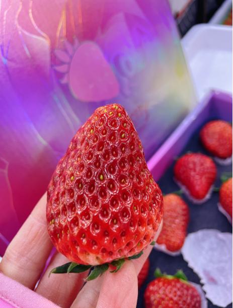 草莓礼盒 商品图3