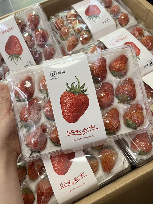 丹东草莓（盒） 商品图0
