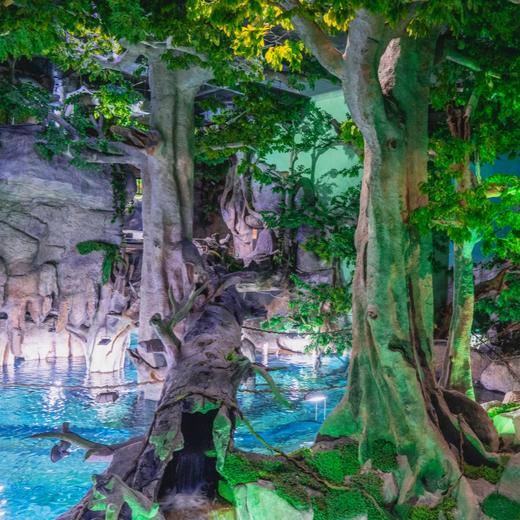 罗源湾海洋世界成人季卡【LY】 商品图1