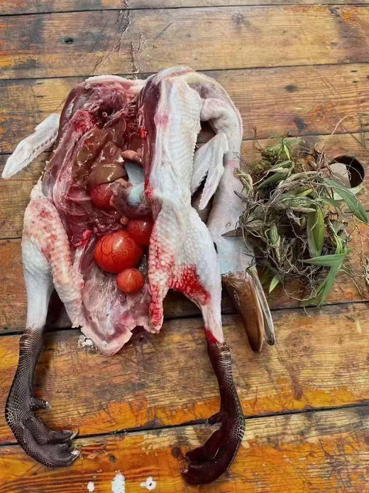 水鸭母（（预定专属 今天定明天到  当天现货结束请拍这里） 商品图1