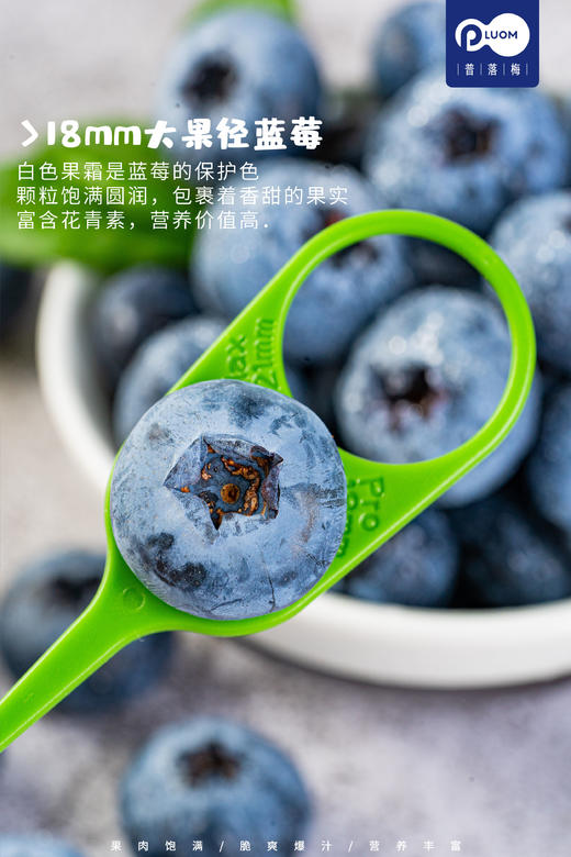 云南蓝莓新鲜上市 商品图7