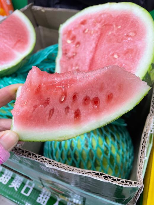 美都麒麟西瓜一个 商品图2