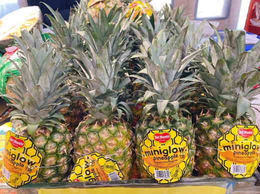 地门凤梨一个 商品图0