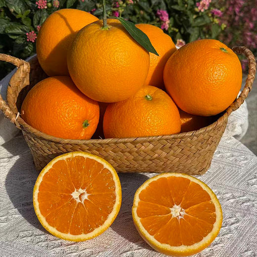 2025  九月红脐橙 商品图0