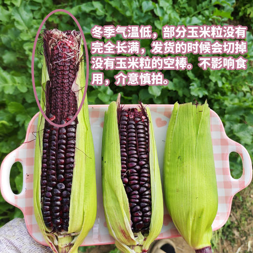 生态黑甜糯玉米 | 合作生产* Eco-corn | Partner Production 商品图1