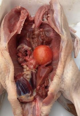 水鸭母（（预定专属 今天定明天到  当天现货结束请拍这里）