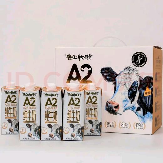 2026年3月16-20日出单奖励业务伙伴云上牧歌A2纯牛奶一件 商品图1