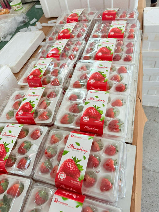 丹东草莓（盒） 商品图4