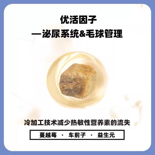 伯纳天纯幼/成猫粮泌尿舒护/体重管理1.5kg/5kg/10kg/5.4kg 商品图4