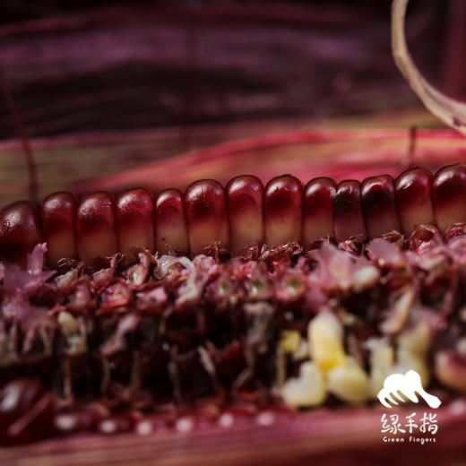 生态黑甜糯玉米 | 合作生产* Eco-corn | Partner Production 商品图3