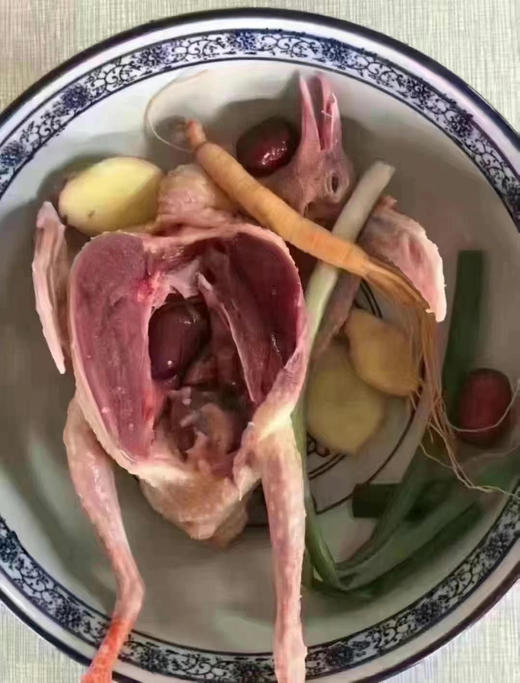 鸽子（预定专属 今天定明天到  当天现货结束请拍这里） 商品图0