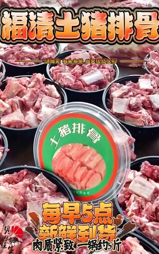 福清土猪排骨带盒约5斤装 通排卖有头尾 当天发货！ 商品图0