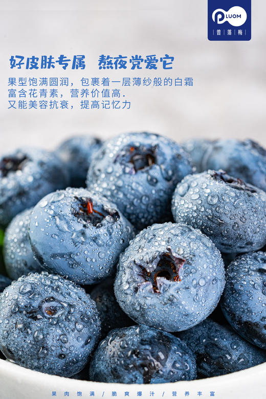 云南蓝莓新鲜上市 商品图2