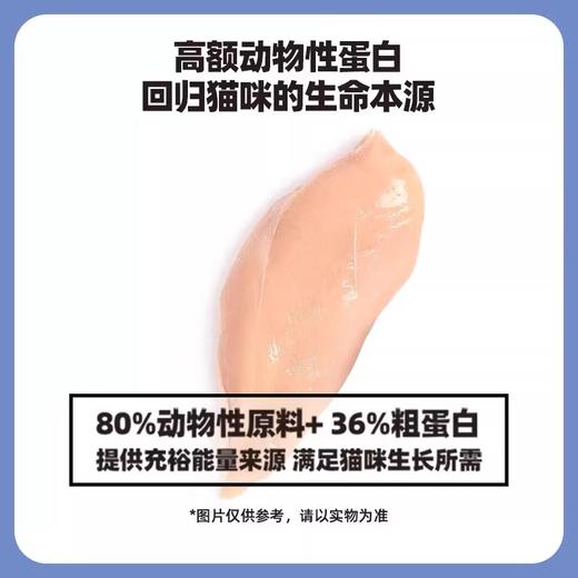 伯纳天纯幼/成猫粮泌尿舒护/体重管理1.5kg/5kg/10kg/5.4kg 商品图6