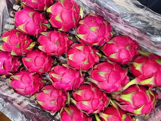 红心火龙果4个 商品图0