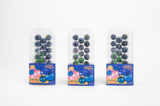 云南蓝莓新鲜上市 商品图5
