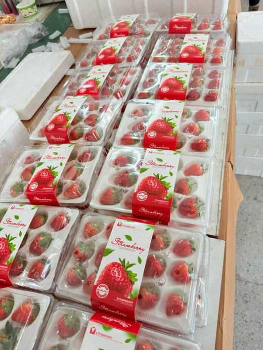 丹东草莓（盒） 商品图3