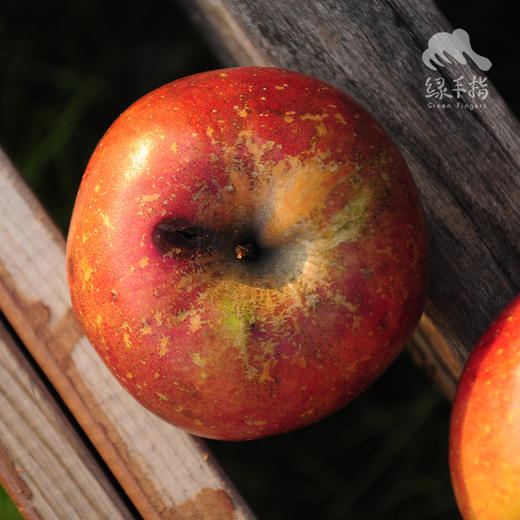 有机真的丑红富士苹果 | 合作生产 Organic-real ugly Fuji apple | Coproduction 商品图2