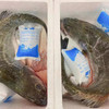 沙浦海钓鲈鱼 每日新鲜到货 商品缩略图1