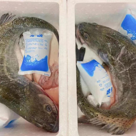 沙浦海钓鲈鱼 每日新鲜到货 商品图1