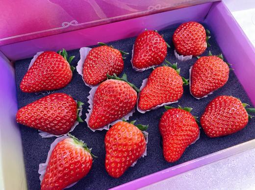 草莓礼盒 商品图2
