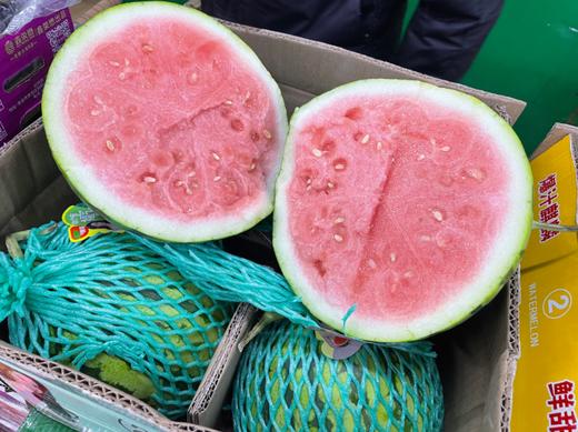 美都麒麟西瓜一个 商品图1