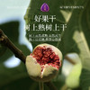 觅菓玫瑰无花果干AA+338g/152950  自然开口 清甜纯净 商品缩略图1