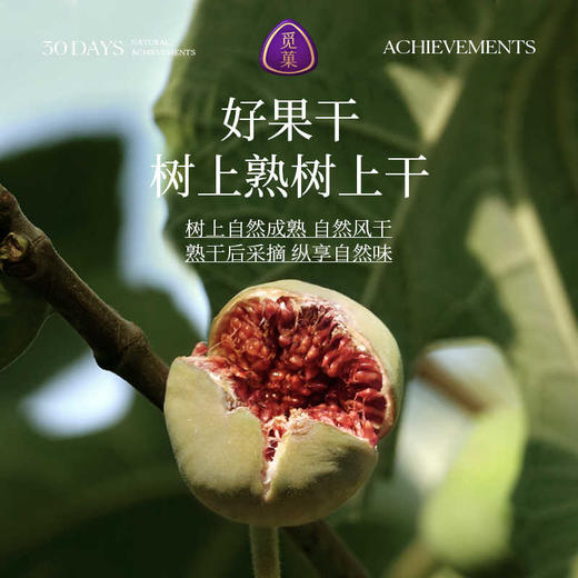 觅菓玫瑰无花果干AA+338g/152950  自然开口 清甜纯净 商品图1