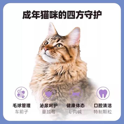伯纳天纯幼/成猫粮泌尿舒护/体重管理1.5kg/5kg/10kg/5.4kg 商品图5