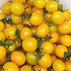生态圣女果/小番茄（福建）| 合作生产*  Ecological tomato | Partner Production 商品缩略图2