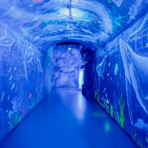 罗源湾海洋世界成人季卡【LY】 商品图4