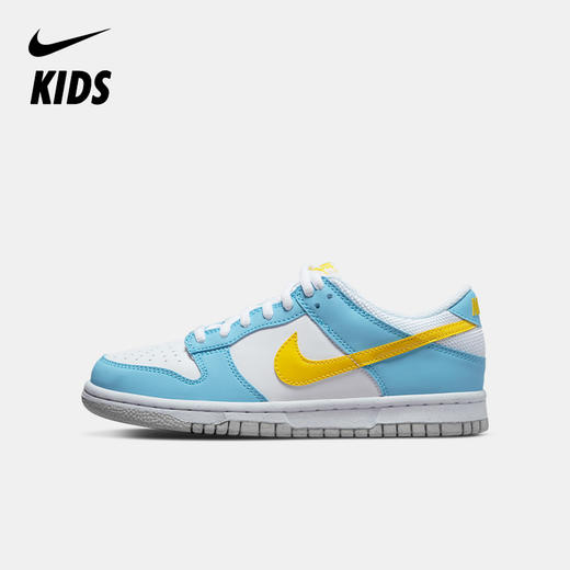 Nike Dunk Low 大童运动鞋 DX3382 商品图0