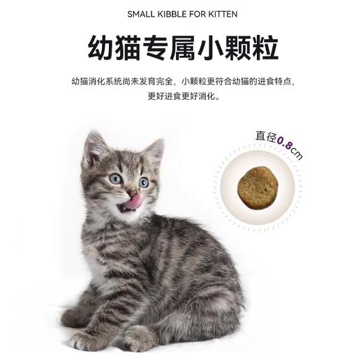 美国Halo自然光环猫粮成猫幼猫主粮鸡肉味鲜肉猫咪主食10磅/4.5kg 商品图4