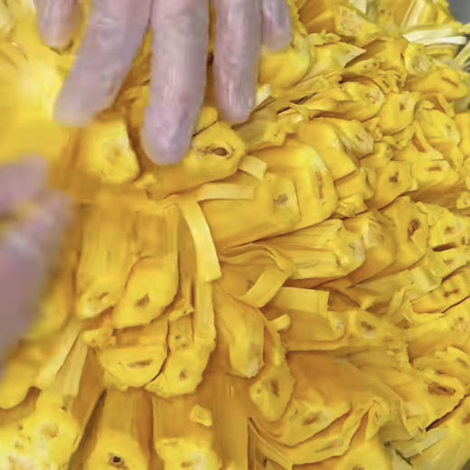 菠萝蜜 商品图2