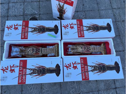 海港新语龙虾礼盒 商品图0