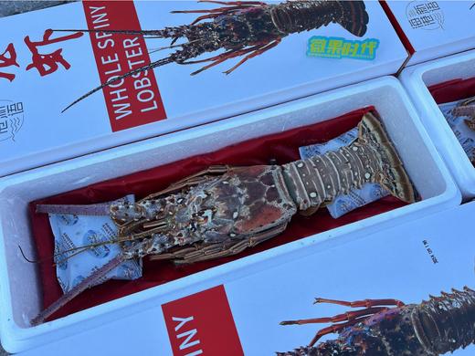 海港新语龙虾礼盒 商品图1