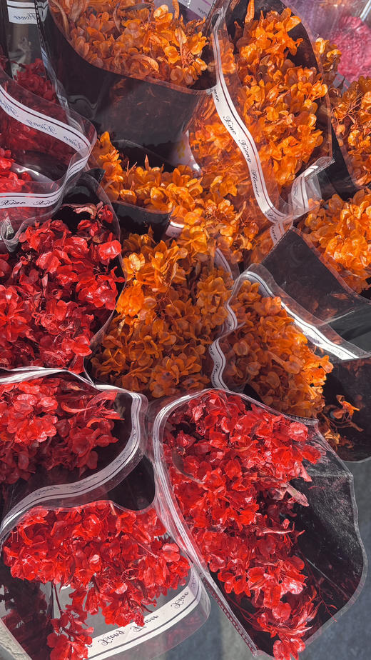 【年花】迎客豆  干花    红色/橙色 若干枝/扎 商品图6