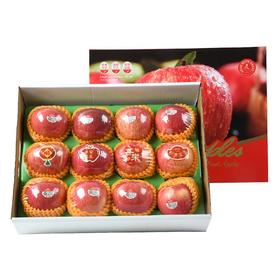 放心洛川苹果礼盒  约3kg/盒 水果礼盒