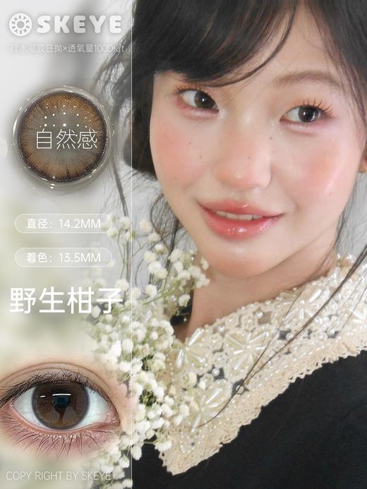 SKEYE：野生柑子（日抛硅水凝胶） 商品图0