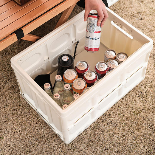 飞图乐（FTLY）户外折叠收纳箱-LP 商品图2