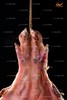 山塘杰威腊味腊猪后蹄 约2.3斤 商品缩略图8
