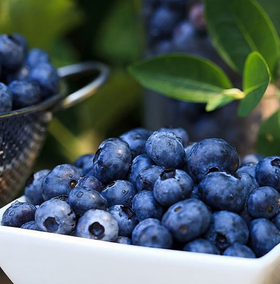 佳沃云南花香蓝莓18+果径125g