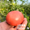 【同行精选】有机老品种西红柿3斤/4.5斤   籽粒饱满  味道浓郁   酸甜可口（适合做菜） 商品缩略图4