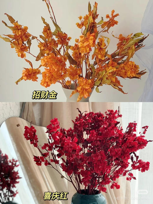 【年花】迎客豆  干花    红色/橙色 若干枝/扎 商品图0