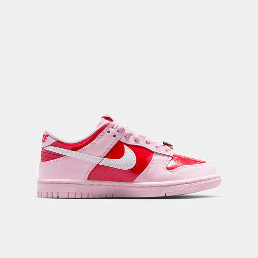 Nike Dunk Low 大童运动鞋 IQ0218 商品图2