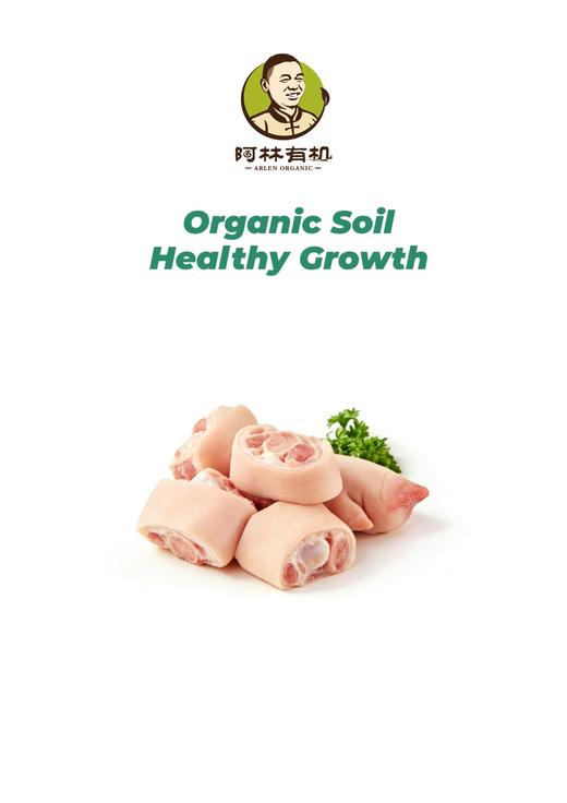 无抗亚麻籽猪蹄 商品图0