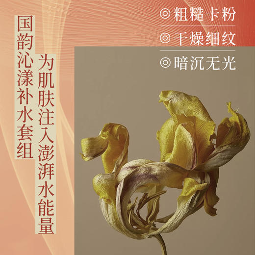 **【女神节内购|仅1天】沁漾补水套盒到手2套有效期2026年11月底：分区泥膜35g*2+ 精华1.5ml*10+精华乳1.5ml*10+面膜*10片+面霜15g*2 ，加赠1套，（自动加赠） 商品图3