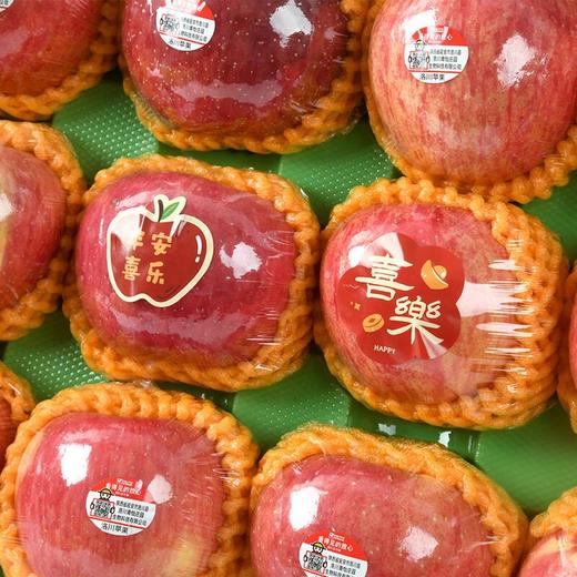 放心洛川苹果礼盒  约3kg/盒 水果礼盒 商品图2