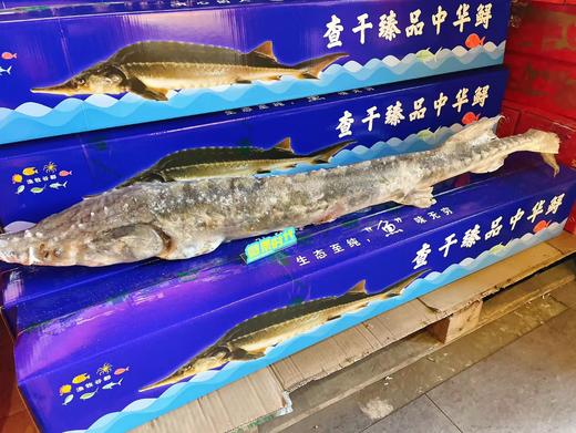 冻中华鲟礼盒 商品图1