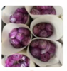 鲜花-洋牡丹洋葱紫/1*1扎 商品缩略图0